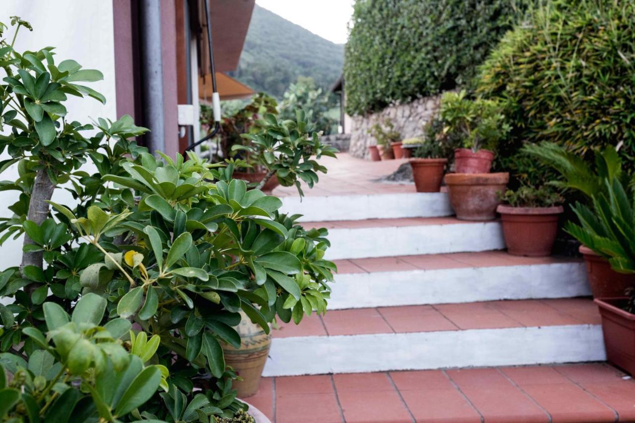 Villa Ida Bed & Breakfast 테라치나 외부 사진